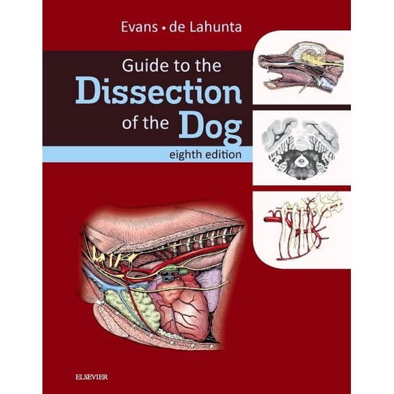 Guide to the Dissection of the Dog, (Hardcover)