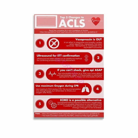 Guideline 5 Key Updates Cardiac Arrest CPR Poster Canvas Painting Wall Art