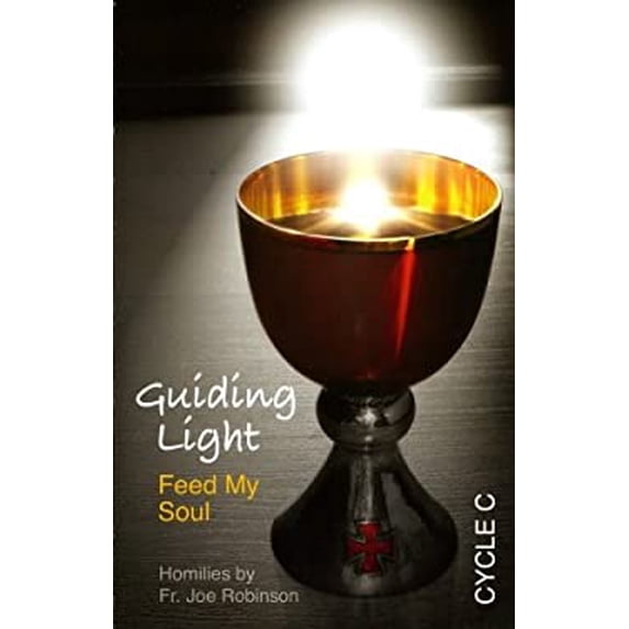 Pre-Owned Guiding Light: Feed My Soul- Homilies, Cycle C (Paperback) 1934222275 9781934222270