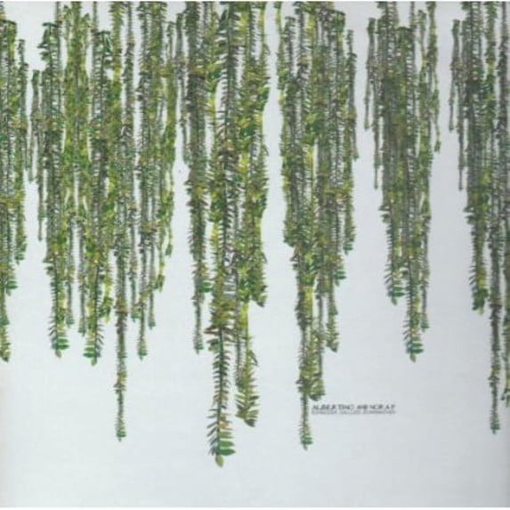 Guido Schneider - Albertino & Nora P - Electronica - Vinyl