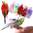 thumbnail image 1 of Guiexla Parrot Suit with Large Bowtie Breathable Printed Colourful Bird Flight Clothes Washable Dird Diaper with Elastic Strap for Parrot Pigeon, 1 of 8