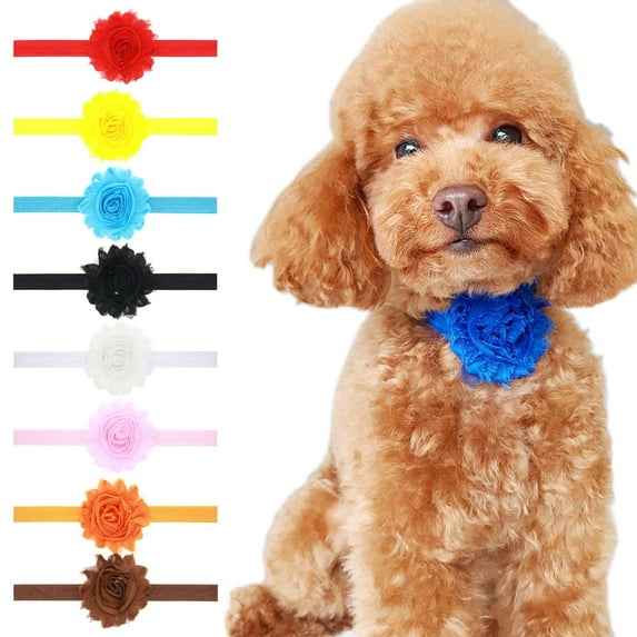 Guiexla Pet Collar Comfortable Beautiful Flower Decor Dog Collar Comfortable Pet Neck Circle for Wedding Party