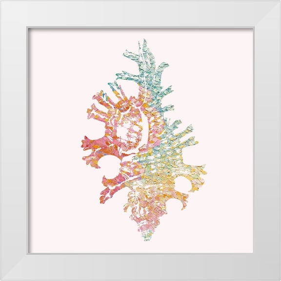 Guillen, Surma 12x12 White Modern Wood Framed Museum Art Print Titled - Bahama Shell I