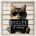 thumbnail image 1 of Guilty of Catnip Shadowbox Print Cute Wall Decor by Art Remedy, Blonde Frame, 12 x 12, 1 of 7