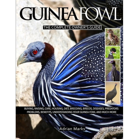 Guinea Fowl: The Complete Owners Guide, (Paperback)