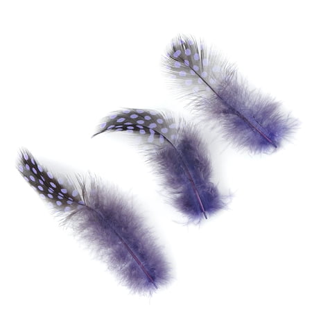 Guinea Hen Plumage Feathers - Lavender