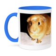 thumbnail image 1 of 3dRose, Guinea Pig, 15oz Two-Tone Blue Mug, 1 of 7