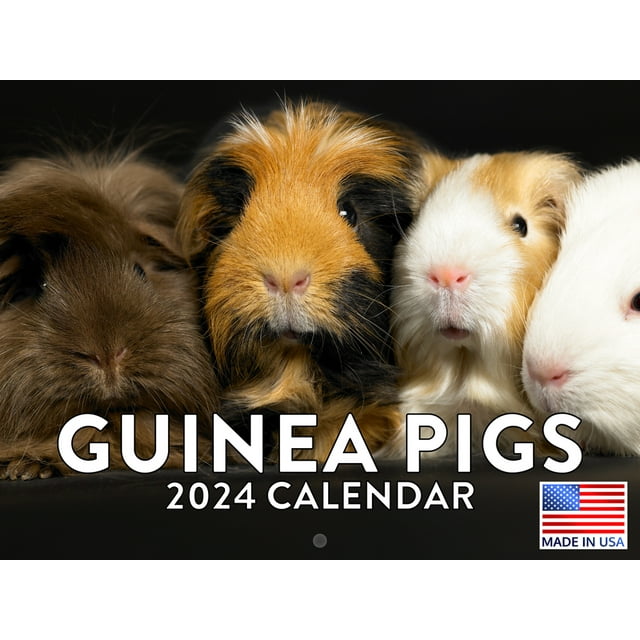 Guinea Pig 2024 Wall Calendar