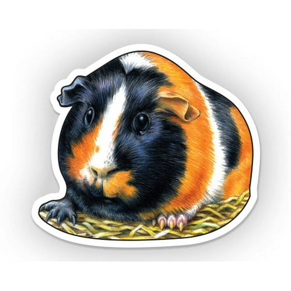 Guinea Pig - 5" Vinyl Sticker - For Car Laptop I-Pad - Waterproof Decal