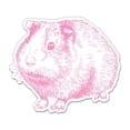 thumbnail image 1 of Guinea Pig - 8" Vinyl Sticker - For Car Laptop I-Pad - Waterproof Decal, 1 of 1