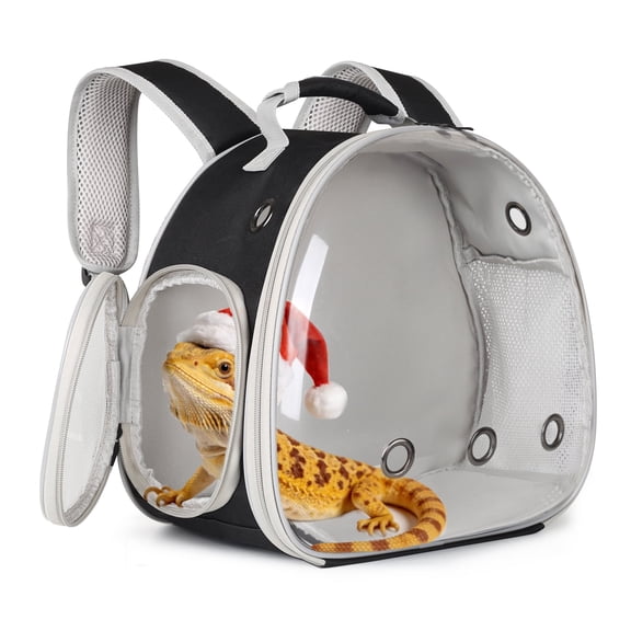 Guinea Pig Backpack Carrier, Bearded Dragon Carrier Backpack with Clear Bubble Window,Small Animal Travel Backpack for Hedgehog Rat,Chameleon,Rabbit,Sugar Glider,Airline Approved (Green, Backpack)
