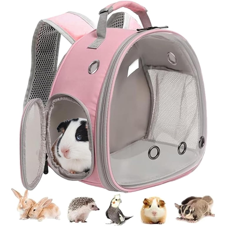 CaomeiWu Guinea Pig Backpack For Kids - 16 Inch School Bookbag With Cute Guinea Pig Design For Boys & Girls
