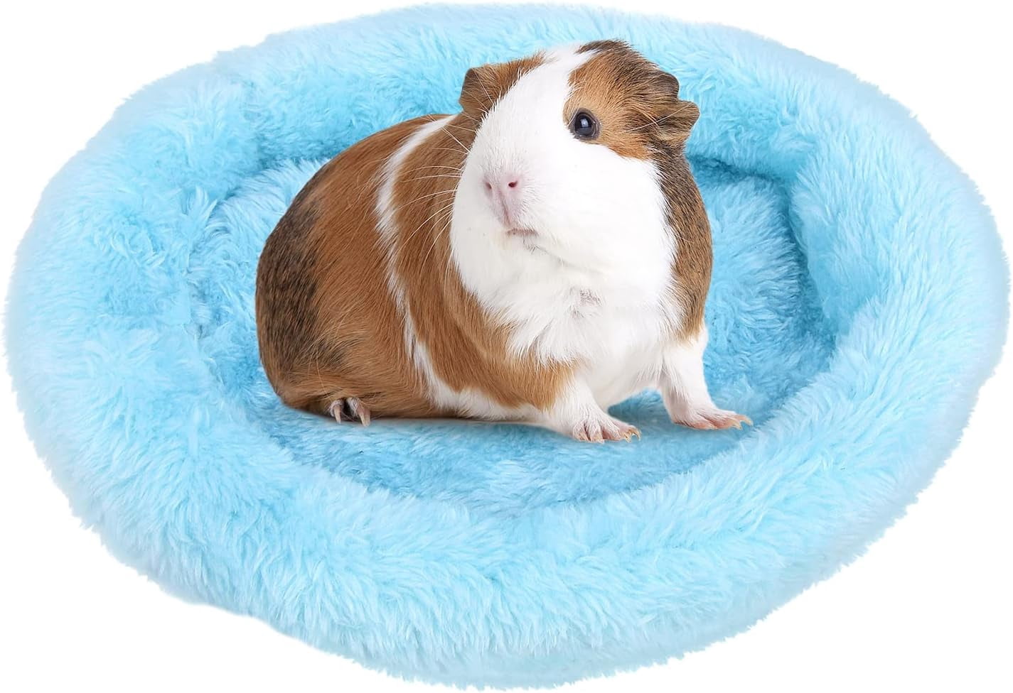 Guinea Pig Beds, Hamster Bed Hedgehog Bed for Hamster Hedgehog Squirrel ...