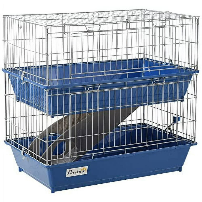 Guinea pig and cage for outlet sale