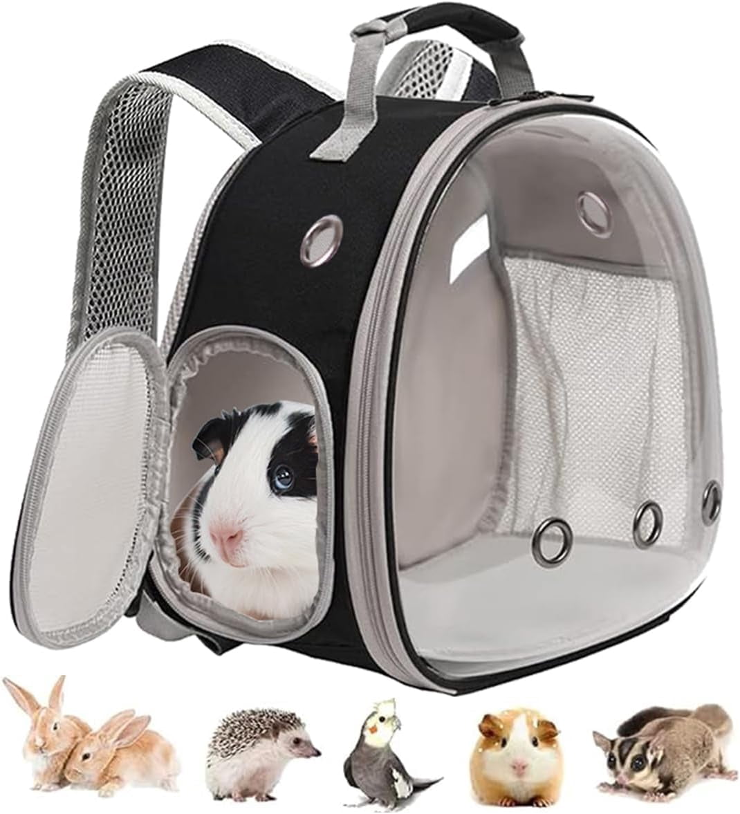 Guinea Pig Carrier Backpack, Clear Bubble Window Backpack for Guinea ...