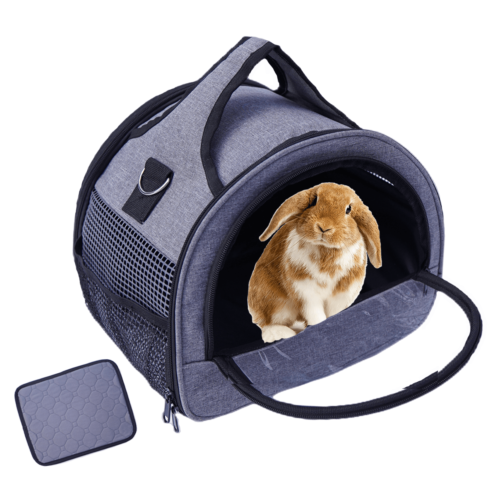 Guinea Pig Carrier, Small Pet Carriers for Rabbit Hamster Bird Bunny