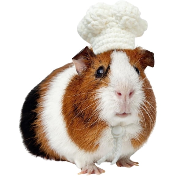 Guinea Pig Chef Hat - Hand Knitted Small Animal Cooking Chef Cap with Adjustable Strap Halloween Costume Outfit Prop Clothes Accessories for Rabbit Bunny Chinchilla Kitten Puppy (Medium)