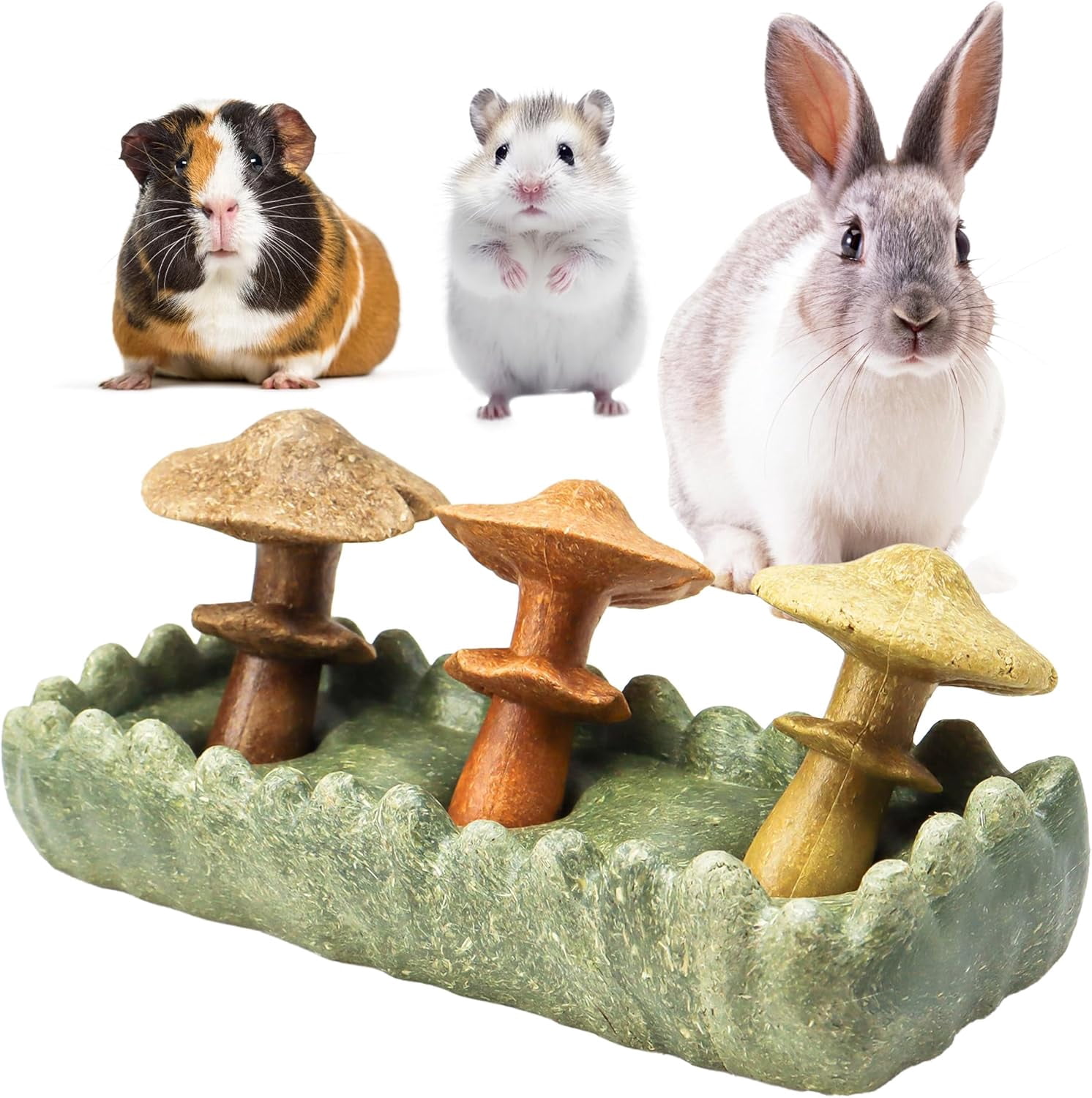 Guinea Pig Chew Toys, Prevent Teeth Overgrowth, Natural Timothy Grass & Vegetables, Hamster Chew Toys, Guinea Pig Toys, Chinchilla Toys, 4PCS, Grass Patch & Mushrooms