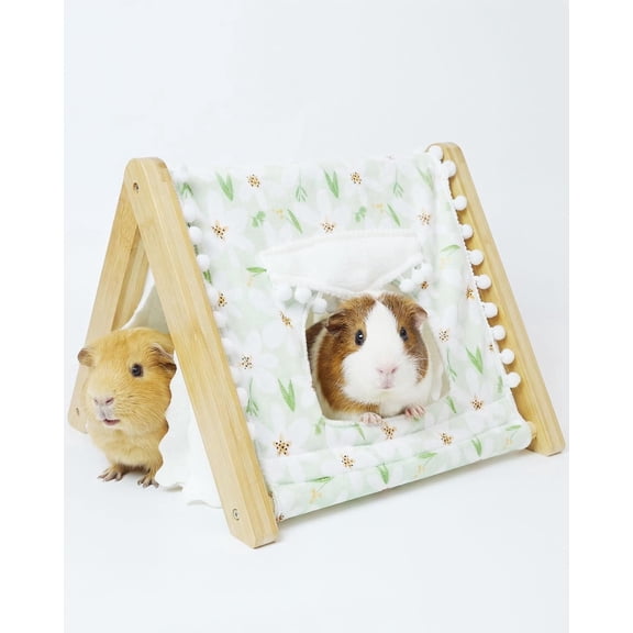 Guinea Pig Hideout