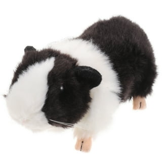 Guinea pig toys walmart deals