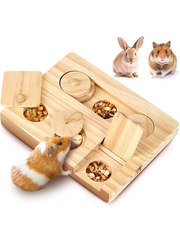 Picture Idea: Hamster Toys In Hamsters