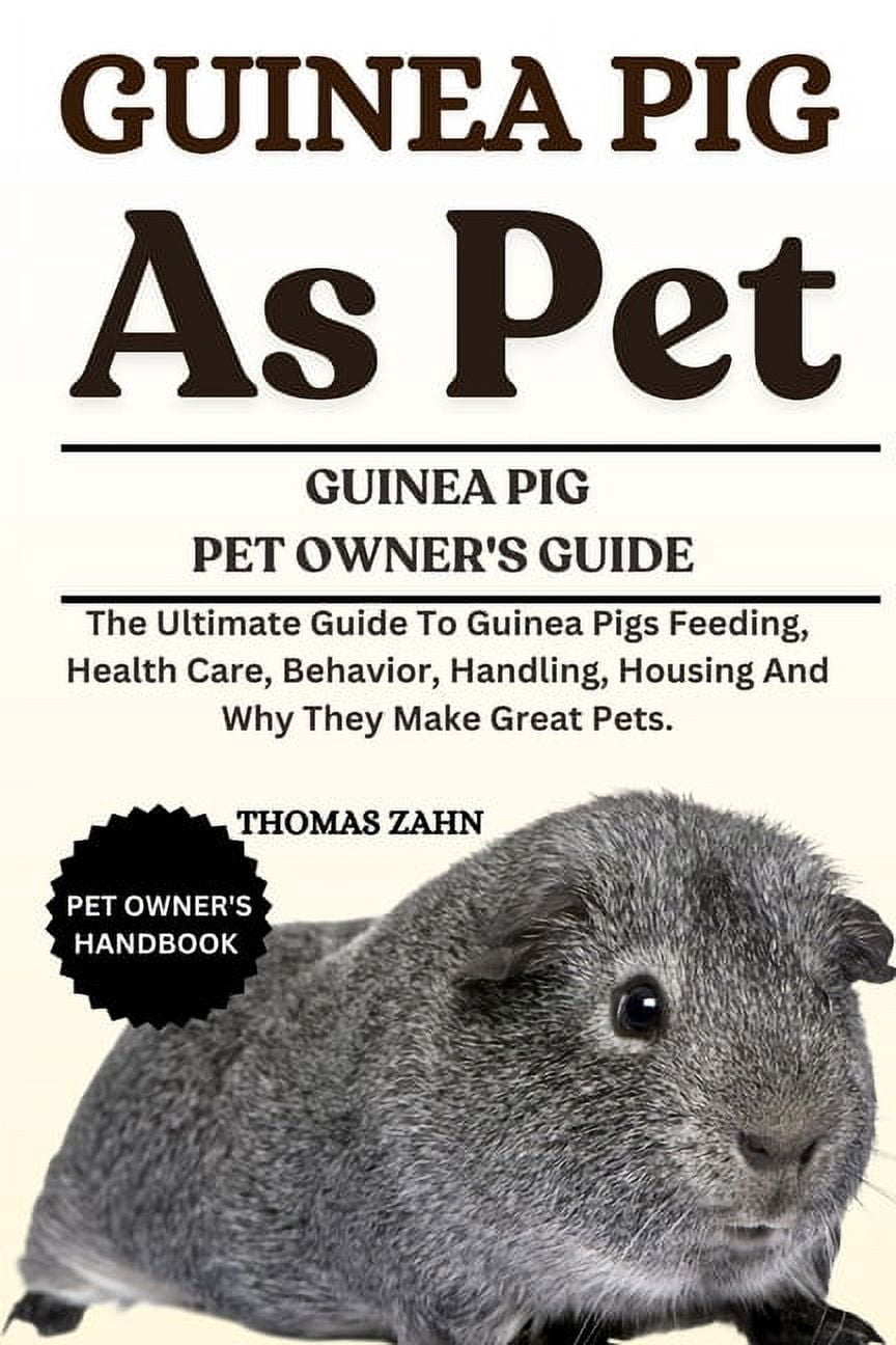 Curated visual reference: Gallery Detail: Guinea Pig As Pet The Ultimate Guide To Guinea Pigs