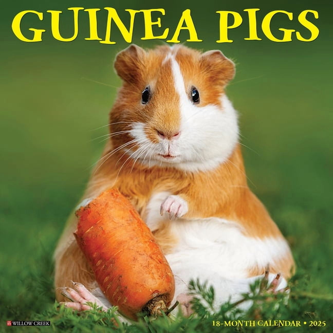 Guinea Pigs 2026 12 X 12 Wall Calendar, (Hardcover)