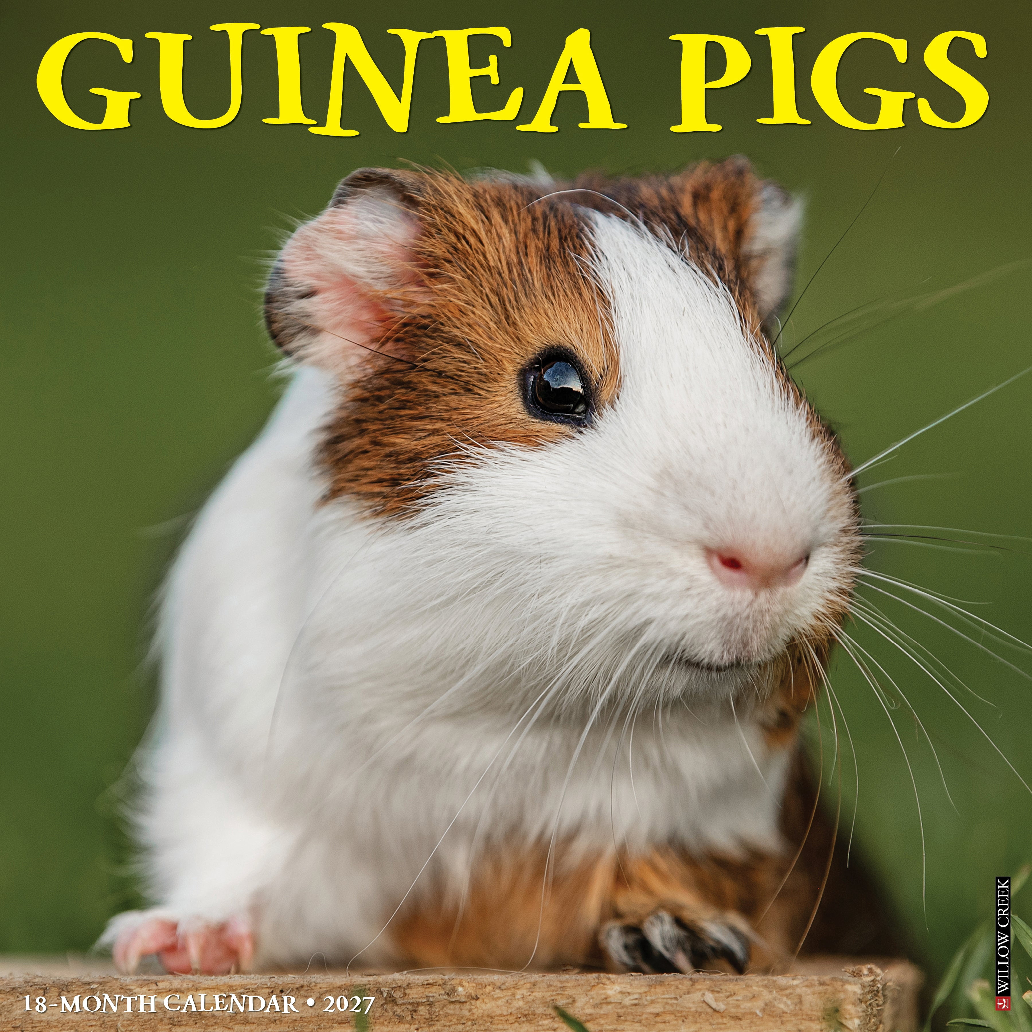 Willow Creek Press, Guinea Pigs 2027 Wall Calendar
