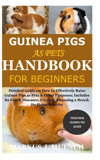 Pets at home guinea pig hotsell