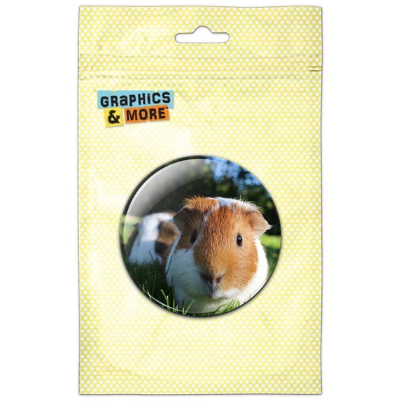 Guinea Pigs in Grass Refrigerator Button Magnet