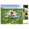thumbnail image 1 of Guinea pig. Beloved rodents (Monthly Wall Calendar 2026 11.7 x 16.5 (open)), CALVENDO 14 Month Calendar, 1 of 9