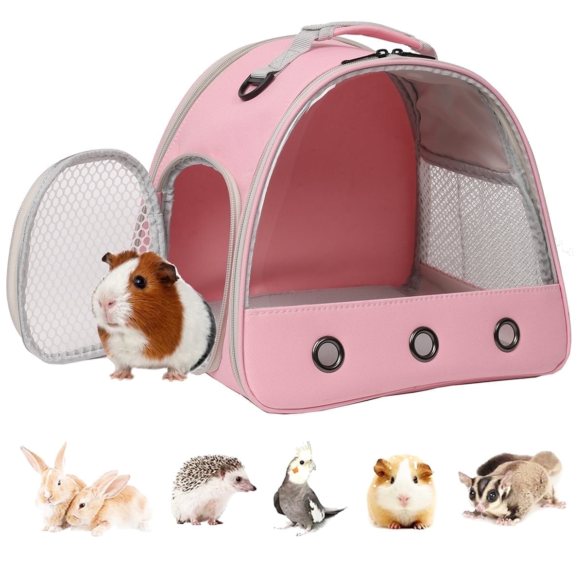 Portable Small Animal Carrier for Guinea Pig Bird Rabbit Turtle ...