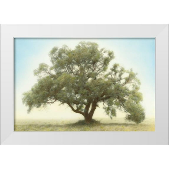 Guion, William 14x11 White Modern Wood Framed Museum Art Print Titled - Oak and Blue Sky