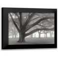 thumbnail image 1 of Guion, William 14x12 Black Modern Framed Museum Art Print Titled - Oak Grove in Fog, 1 of 5