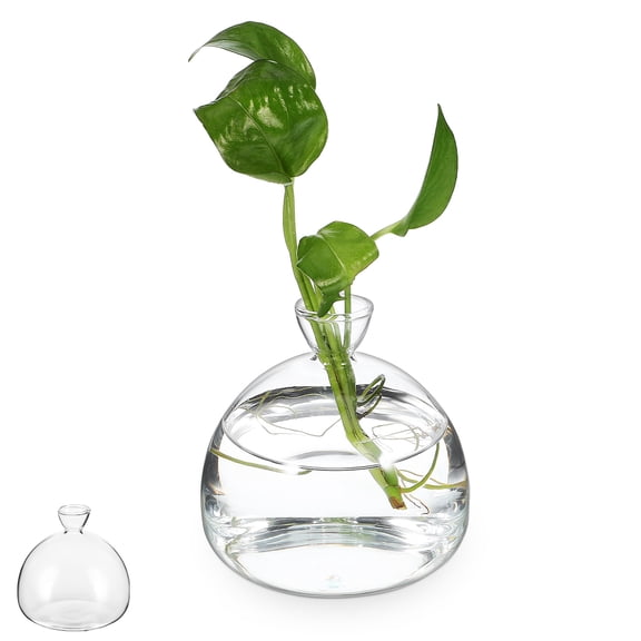 Guiyong Glass Plant Pot Clear Glass Vase Glass Plant Holder Flower Arranging Container Clear Vases For Centerpieces