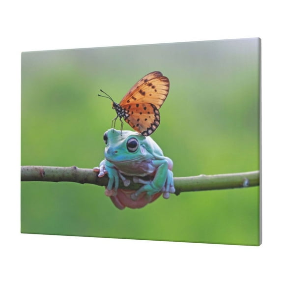 Gukieu Butterfly Landing On Head Dumpy Frog Print Horizontal Canvas Decorative Painting 12x16 Inch Shrinkage Resistant Frame Hanging Home Wall Art Decor