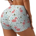 thumbnail image 1 of Gukieu Cute Flamingo Print Women's Sports Shorts, Elastic Waist High Stretch Running Yoga Gym Sweatpants-X-Large, 1 of 8