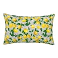 thumbnail image 1 of Gukieu Lemon1 Print Plush Pillow Cover, Hidden Zipper Pillow Protector without Pillow Core, Suitable for Bedroom, Office, Car Decoration-14"x20", 1 of 6