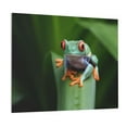 thumbnail image 1 of Gukieu Red-Eyed Tree Frog Print Canvas Decorative Hanging Painting, Waterproof Art Wall Decoration with Frame, Suitable for Living Room, Bedroom, 1 of 6