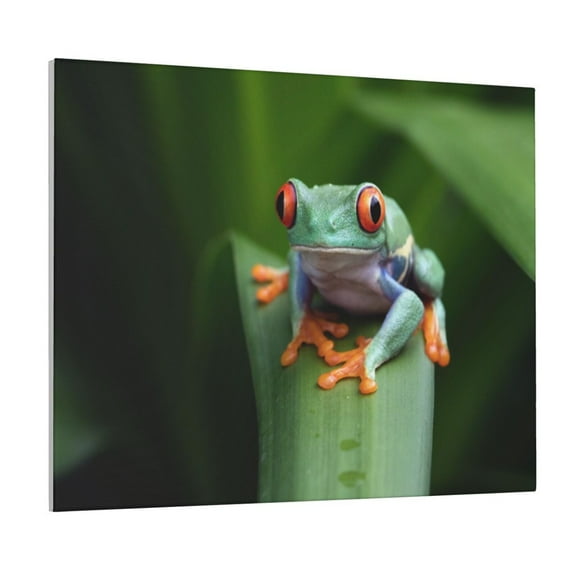 Gukieu Red-Eyed Tree Frog Print Canvas Decorative Hanging Painting, Waterproof Art Wall Decoration with Frame, Suitable for Living Room, Bedroom