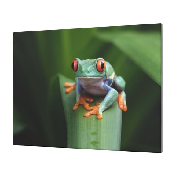 Gukieu Red-Eyed Tree Frog Print Horizontal Canvas Decorative Painting 12x16 Inch Shrinkage Resistant Frame Hanging Home Wall Art Decor