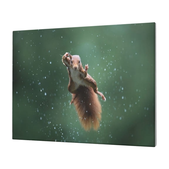 Gukieu Squirrel Print Horizontal Canvas Decorative Painting 12x16 Inch Shrinkage Resistant Frame Hanging Home Wall Art Decor