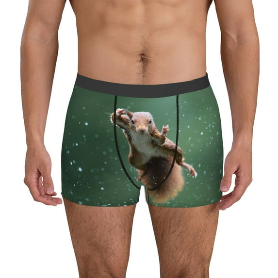 Gukieu Squirrel Print Men's Boxer Briefs, High Elastic Moisture Wicking Boxer Briefs Underwear-Small