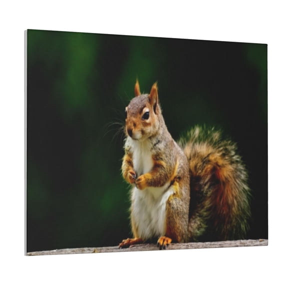 Gukieu Squirrels Eating Peanuts On The Tree Print Canvas Decorative Hanging Painting, Waterproof Art Wall Decoration with Frame, Suitable for Living Room, Bedroom