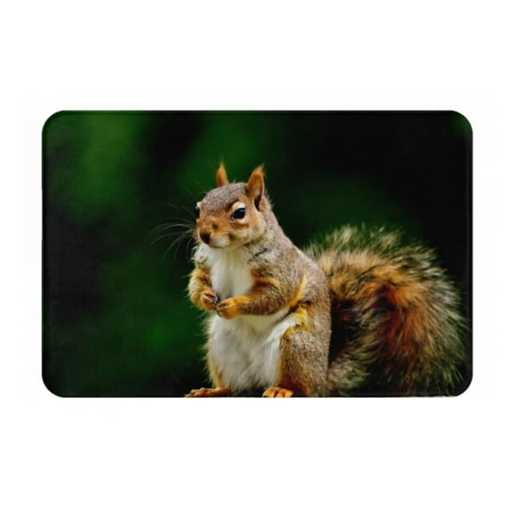 Gukieu Squirrels Eating Peanuts On The Tree Print Dust-proof Floor Mats, Water-absorbent and Non-slip Flannel Door Mats 16x24in, Home Decoration Suitable for Kitchen, Bathroom, Garage