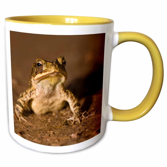 3drose, Gulf Coast Toad, Bufo Valliceps, Texas Coastline - Us44 Mpr0050 - Maresa Pryor, 15oz Two-tone Yellow Mug