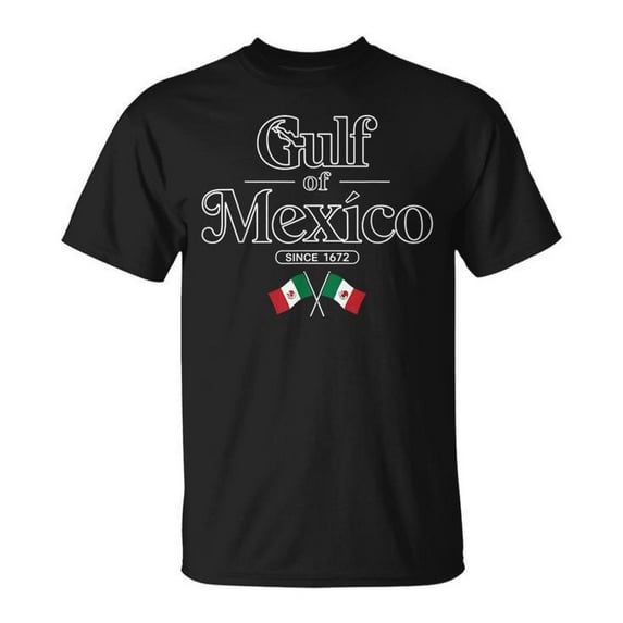 Gulf Of Mexico Since 1672 Mexican Flag Mexico T-Shirt, Vintage Mexican Heritage Shirt, Proud Mexico Apparel, Gulf Coast History Tee, Mexican Flag Graphic T-Shirt