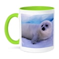 thumbnail image 1 of 3dRose, Gulf of St. Lawrence, Harp Seal-CN14 GJE0027 - Gavriel Jecan, 15oz Two-Tone Green Mug, 1 of 7