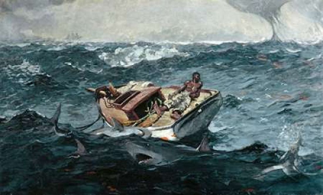 Gulf Stream Canvas Art - Winslow Homer (12 x 18)