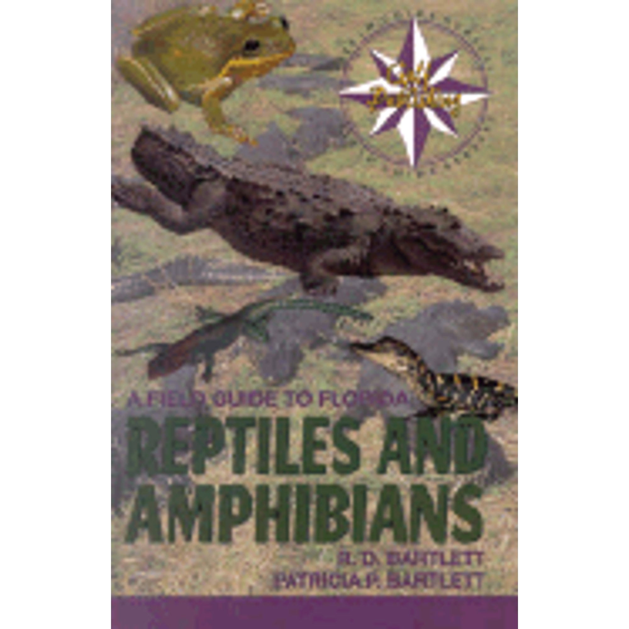 Pre-Owned A Field Guide to Florida Reptiles and Amphibians (Excluding Snakes) (Gulf Publishing Field Guides) (Paperback) 0884152774 9780884152774